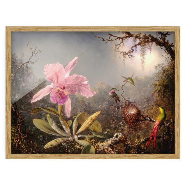 Bild mit Rahmen - Martin Johnson Heade - Orchidee und drei Kolibris - Querformat 3:4