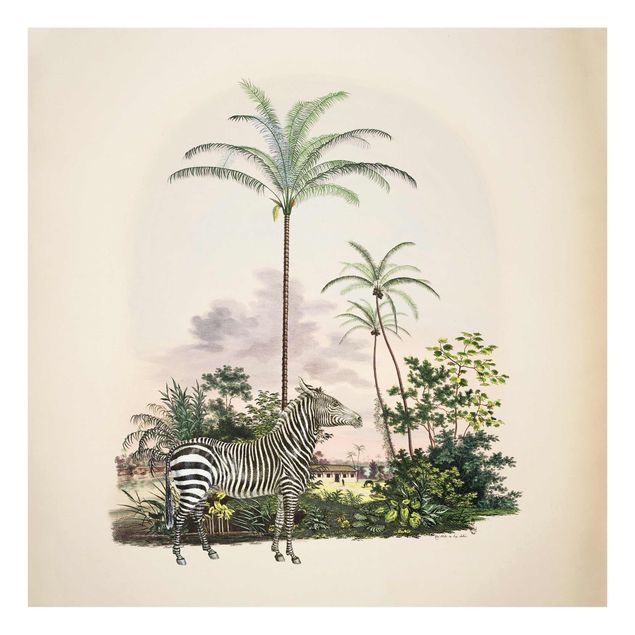 Glasbild - Zebra vor Palmen Illustration - Quadrat 1:1