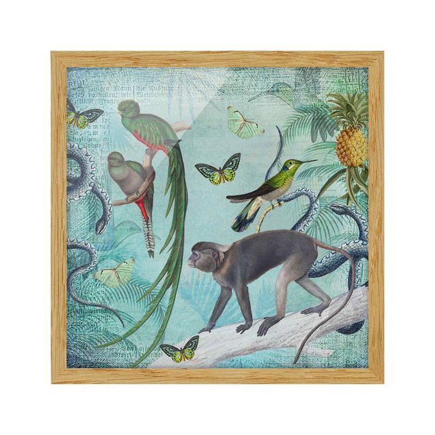 Bild mit Rahmen - Colonial Style Collage - Äffchen und Paradiesvögel - Quadrat 1:1