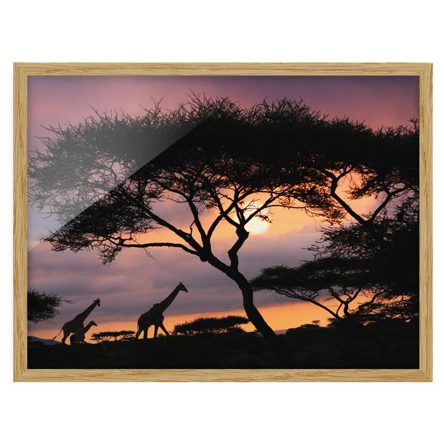 Bild mit Rahmen - Safari in Afrika - Querformat 3:4
