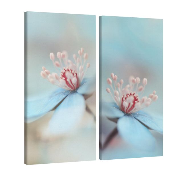 Leinwandbild 2-teilig - Blüten in Hellblau - Hoch 1:2