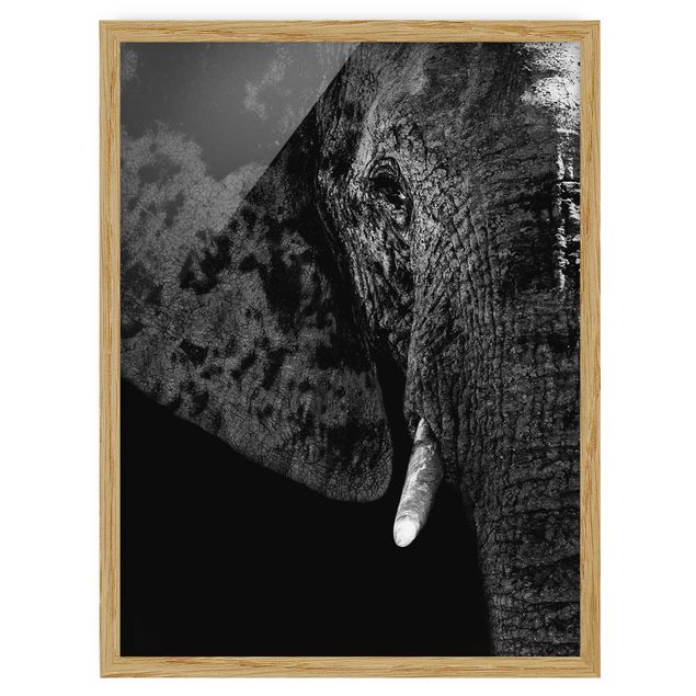 Bild mit Rahmen - Afrikanischer Elefant schwarz-weiß - Hochformat 3:4
