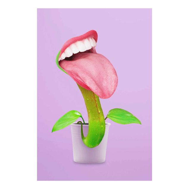 Glasbild - Jonas Loose - Fleischfressende Pflanze mit Mund - Hochformat 3:2