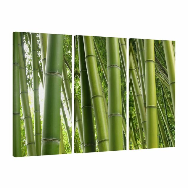 Leinwandbild 3-teilig - Bamboo Trees - Hoch 1:2
