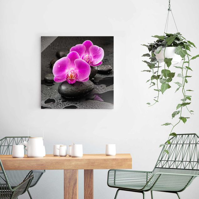 Glasbild - Pinke Orchideenblüten auf Steinen mit Tropfen - Quadrat 1:1