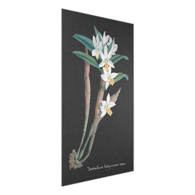 Glasbild - Weiße Orchidee auf Leinen I - Hochformat 3:2