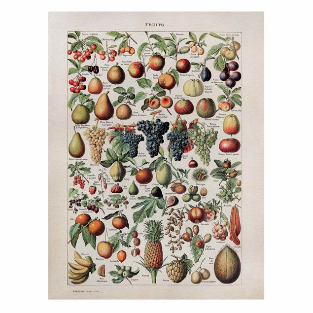 Leinwandbild - Vintage Lehrtafel Früchte - Hochformat 4:3