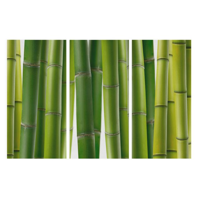 Leinwandbild 3-teilig - Bambuspflanzen - Hoch 1:2
