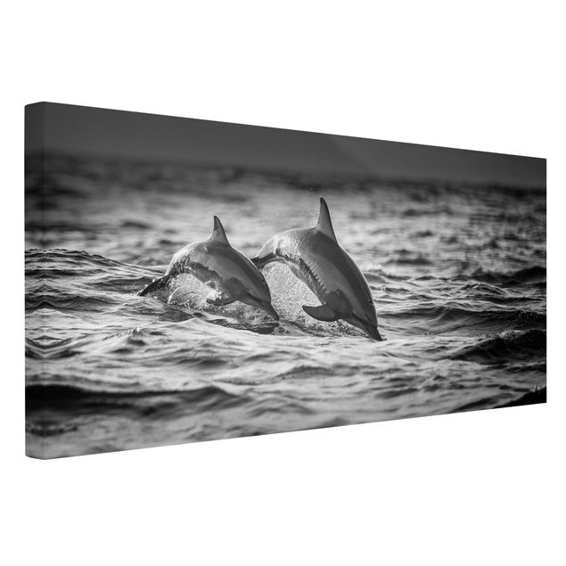 Leinwandbild - Zwei springende Delfine - Querformat 1:2