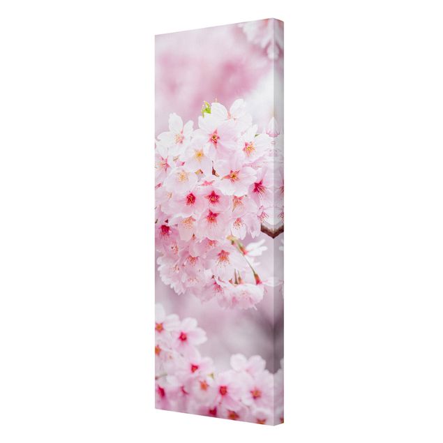 Leinwandbild - Japanische Kirschblüten - Panorama Hochformat 1:3