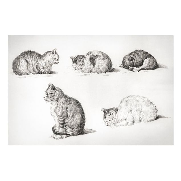 Leinwandbild - Vintage Zeichnung Katze I - Querformat 2:3