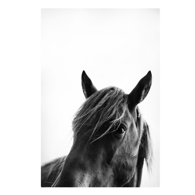 Leinwandbild - Neugieriges Pferd - Hochformat 3:2