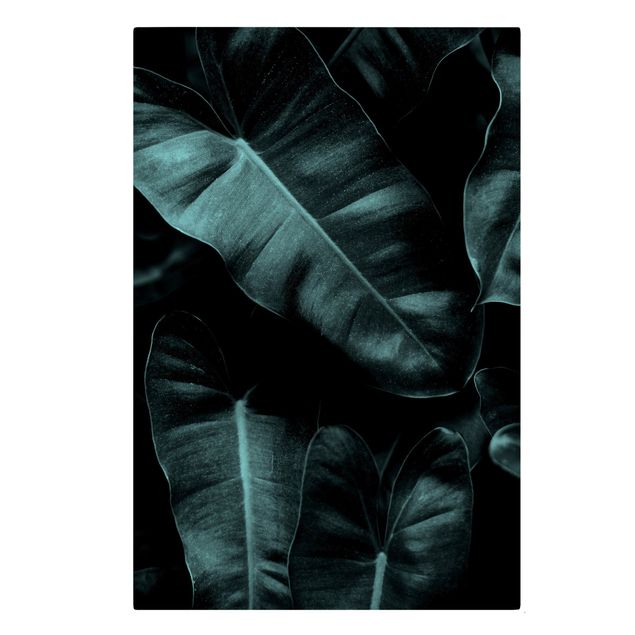 Leinwandbild - Dschungel Blätter Dunkelgrün - Hochformat 3:2