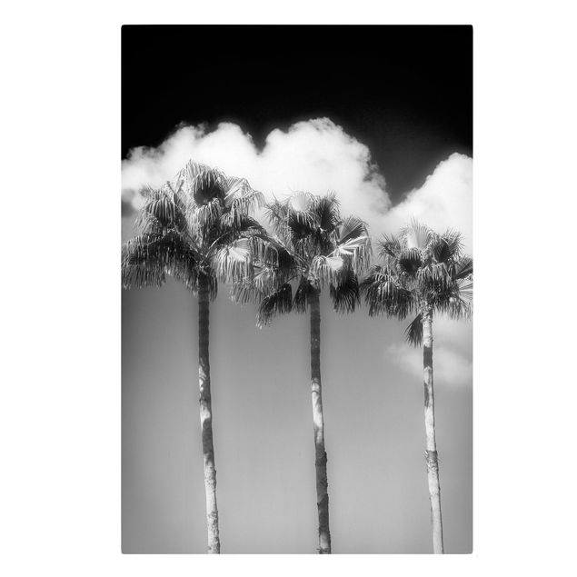 Leinwandbild - Palmen vor Himmel Schwarz-Weiß - Hochformat 3:2