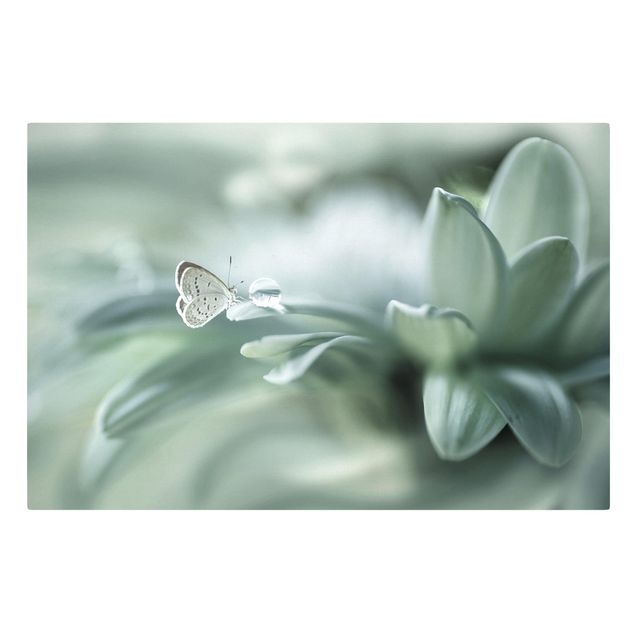 Leinwandbild - Schmetterling und Tautropfen in Pastellgrün - Querformat 2:3