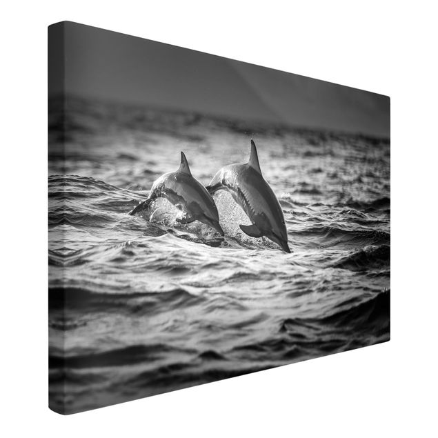 Leinwandbild - Zwei springende Delfine - Querformat 2:3