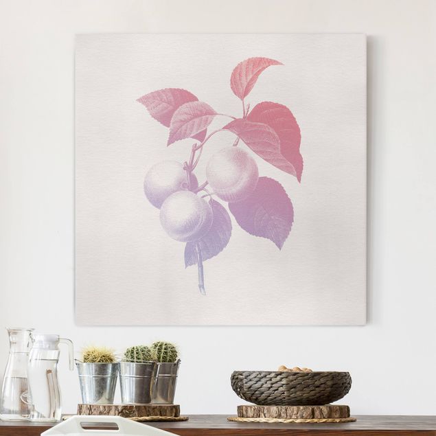 Leinwandbild - Modern Vintage Botanik Pfirsich Rosa Violett - Quadrat 1:1