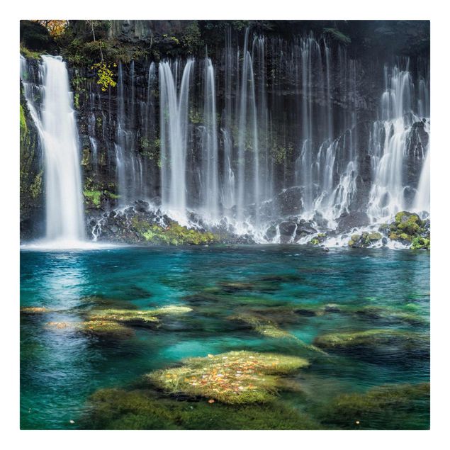 Leinwandbild - Shiraito Wasserfall - Quadrat 1:1