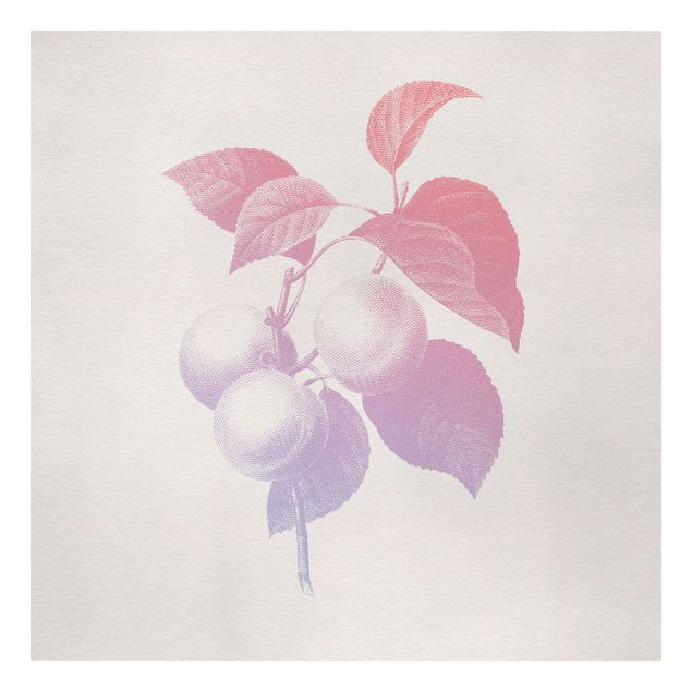 Leinwandbild - Modern Vintage Botanik Pfirsich Rosa Violett - Quadrat 1:1