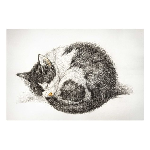Leinwandbild - Vintage Zeichnung Katze II - Querformat 2:3