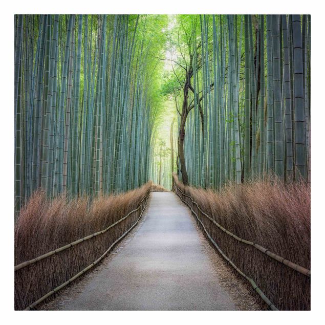 Leinwandbild - Der Weg durch den Bambus - Quadrat 1:1