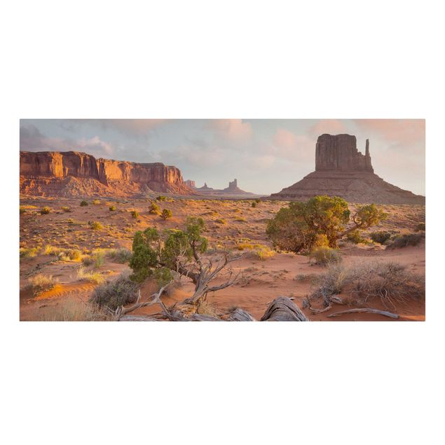 Leinwandbild - Monument Valley Navajo Tribal Park Arizona - Querformat 1:2