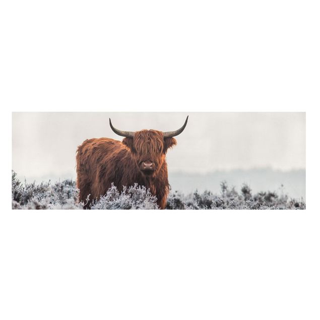 Leinwandbild - Bison in den Highlands - Panorama 1:3