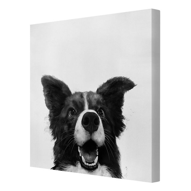 Leinwandbild - Illustration Hund Border Collie Schwarz Weiß Malerei - Quadrat 1:1