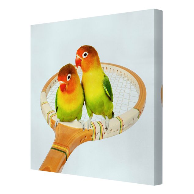 Leinwandbild - Jonas Loose - Tennis mit Vögeln - Quadrat 1:1