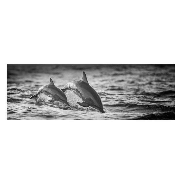 Leinwandbild - Zwei springende Delfine - Panorama 1:3