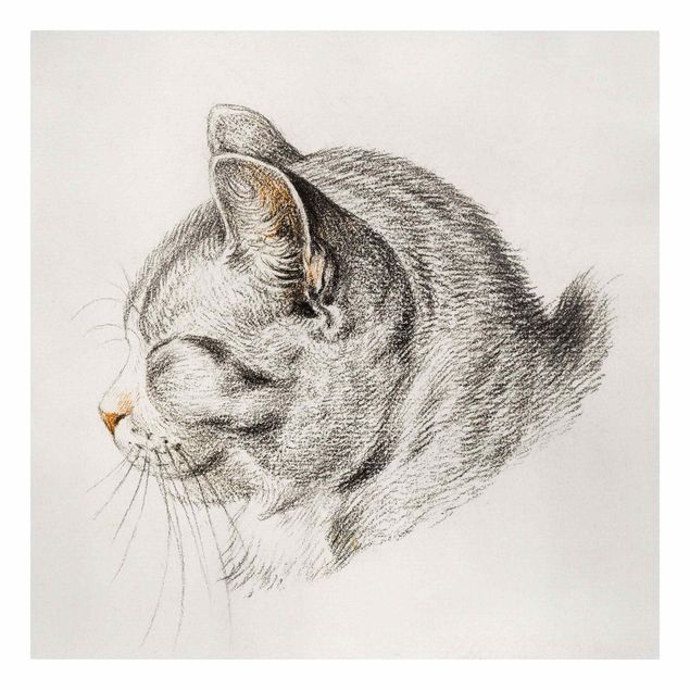 Leinwandbild - Vintage Zeichnung Katze III - Quadrat 1:1
