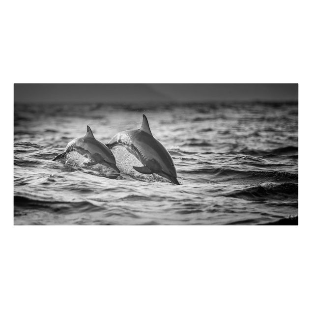 Leinwandbild - Zwei springende Delfine - Querformat 1:2