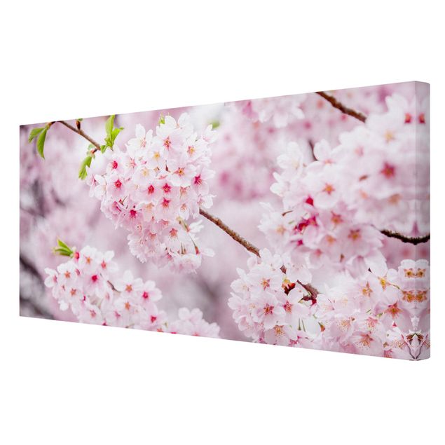 Leinwandbild - Japanische Kirschblüten - Querformat 2:1