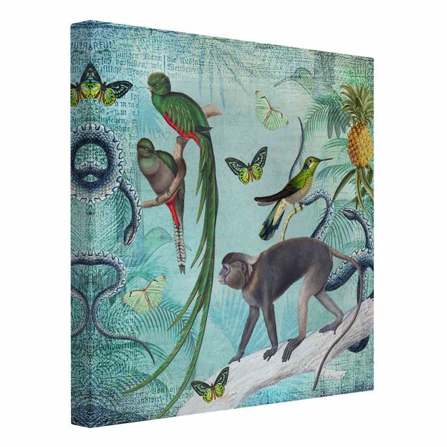 Leinwandbild - Colonial Style Collage - Äffchen und Paradiesvögel - Quadrat 1:1