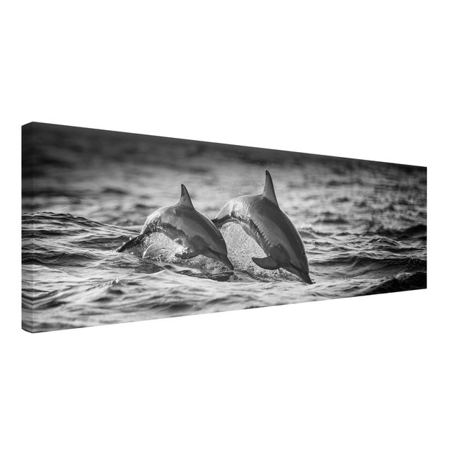 Leinwandbild - Zwei springende Delfine - Panorama 1:3