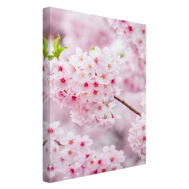 Leinwandbild - Japanische Kirschblüten - Hochformat 2:3