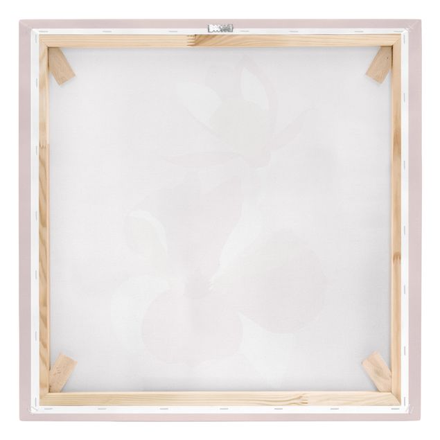 Leinwandbild - Line Art Blüten Pastell Rosa - Quadrat 1:1