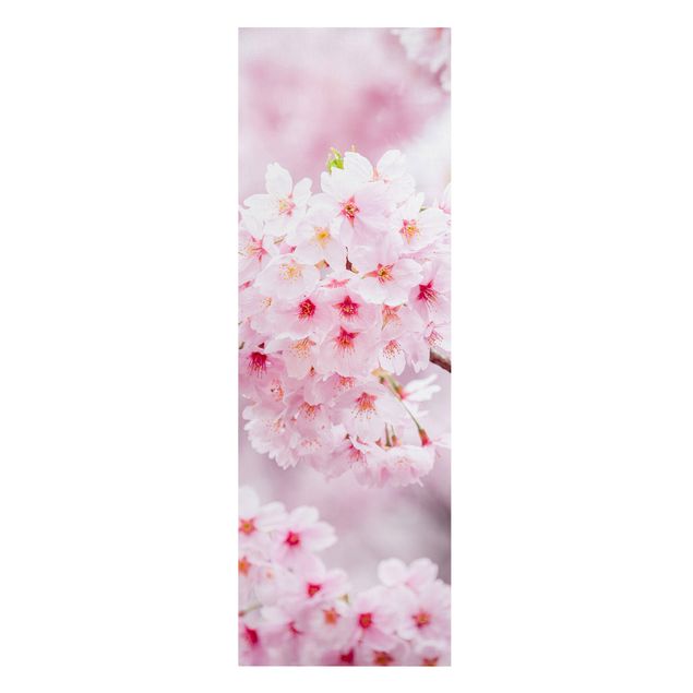 Leinwandbild - Japanische Kirschblüten - Panorama Hochformat 1:3