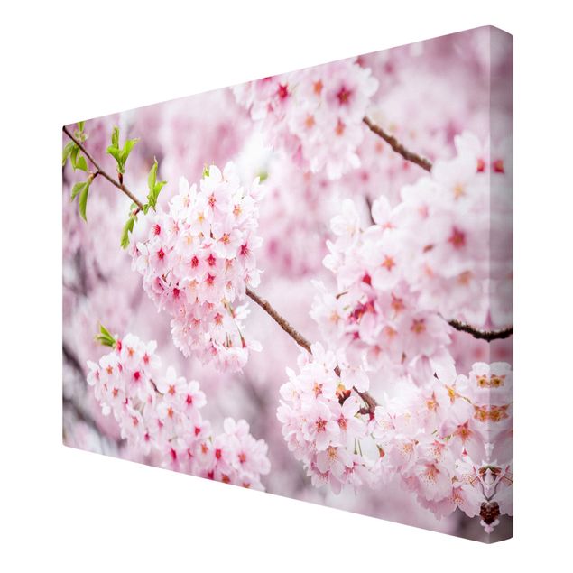 Leinwandbild - Japanische Kirschblüten - Querformat 3:2
