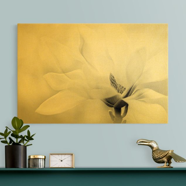 Leinwandbild Gold - Zarte Magnolienblüte Schwarz-Weiß - Querformat 3:2