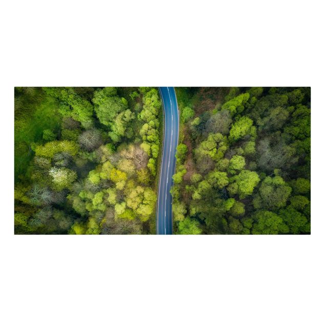Leinwandbild - Luftbild - Asphaltstraße im Wald - Querformat 1:2