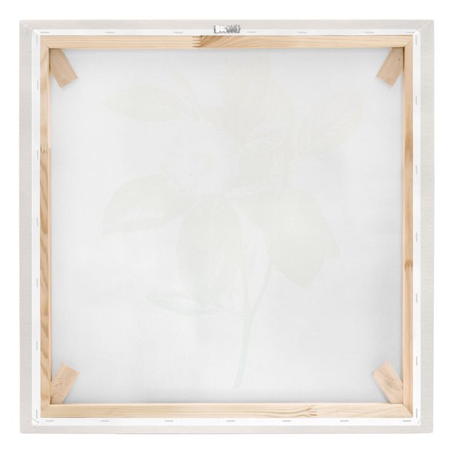 Leinwandbild - Modern Vintage Botanik Kirschblüte Grün Gelb - Quadrat 1:1