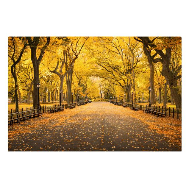 Leinwandbild - Herbst im Central Park - Querformat 3:2