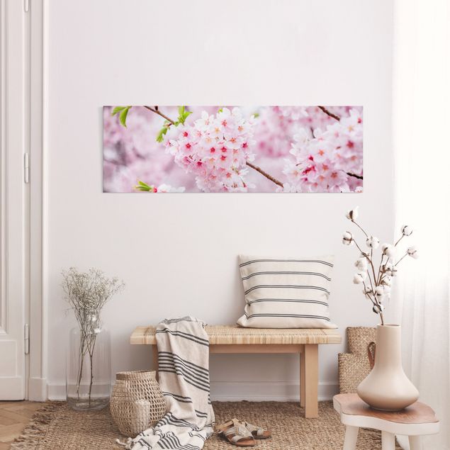Leinwandbild - Japanische Kirschblüten - Panorama 3:1