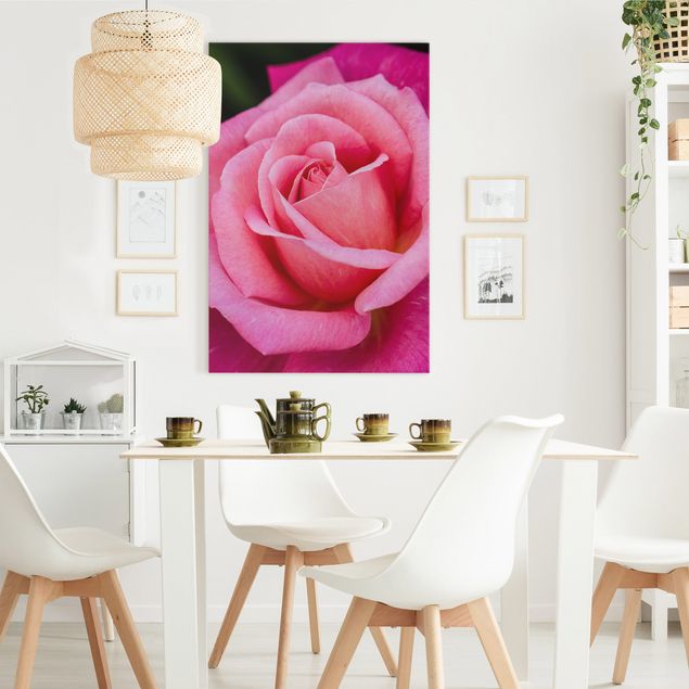 Leinwandbild - Pinke Rosenblüte vor Grün - Hochformat 3:2