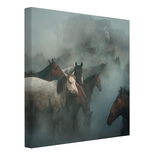 Leinwandbild - Wilde Pferde - Quadrat 1:1