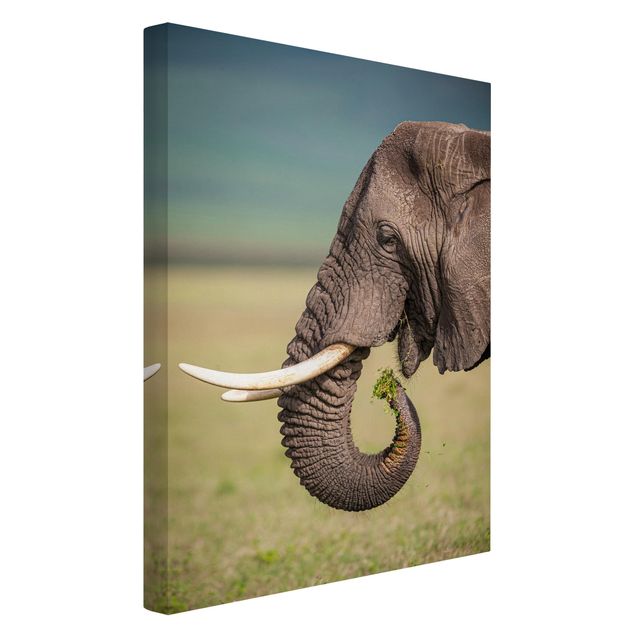 Leinwandbild - Elefantenfütterung Afrika - Hochformat 3:2