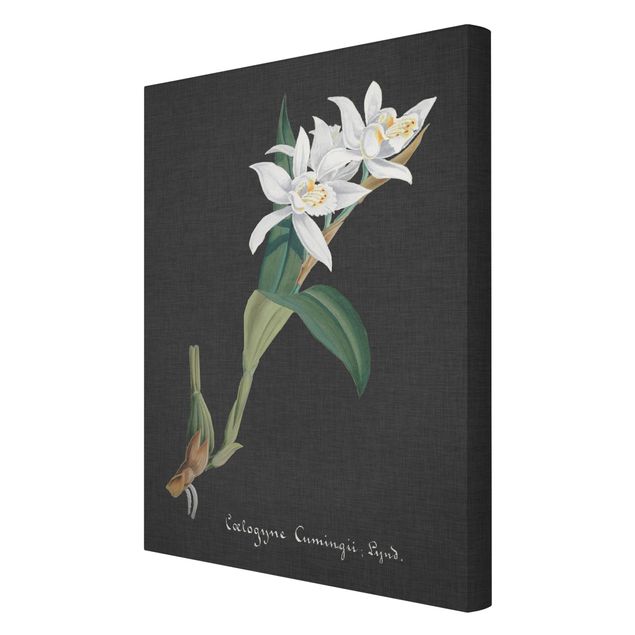 Leinwandbild - Weiße Orchidee auf Leinen II - Hochformat 3:2