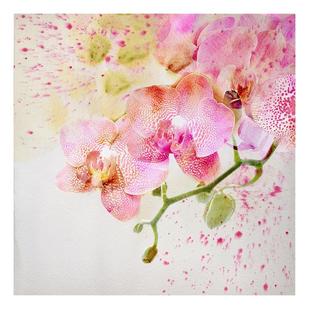 Leinwandbild - Aquarell Blumen Orchideen - Quadrat 1:1