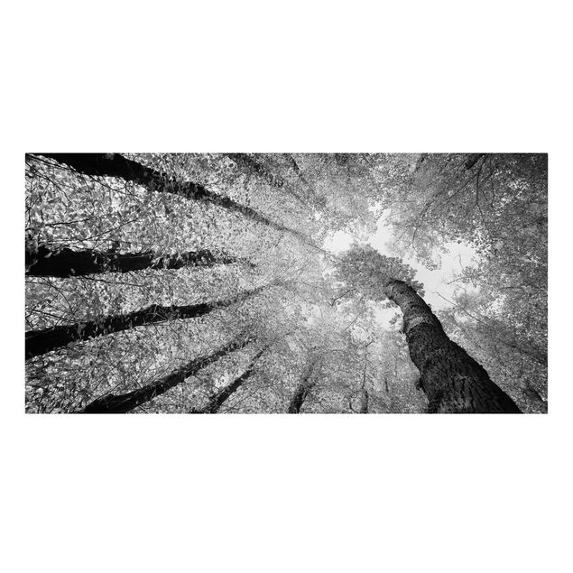 Leinwandbild Schwarz-Weiß - Bäume des Lebens II - Quer 2:1